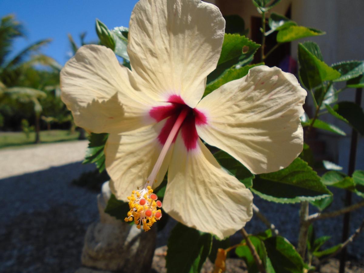 Serenity Sands Corozal Exterior photo